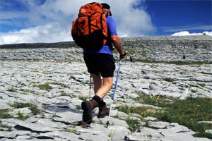 Tailor - Made Tours Ltd.