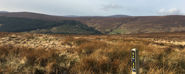Run Walk Bike Ireland