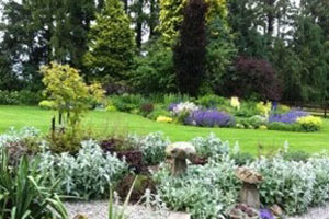 Clonohill Gardens