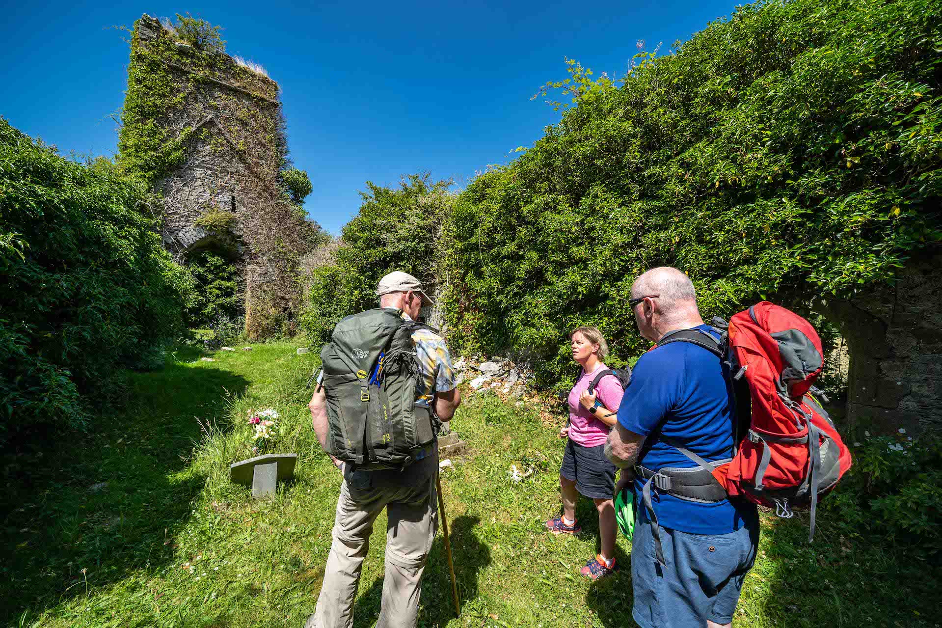On a sunny day, 3 walkers with rucksacks are standing in the ruins of a building, overgrown with ivy.