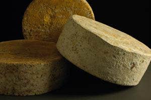 Beal Organic Cheese