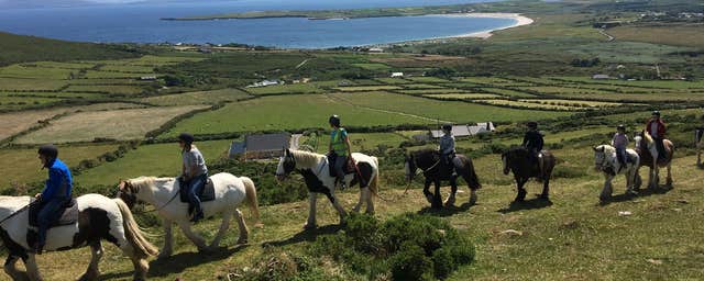 Longs Horse Riding and Trekking Centre