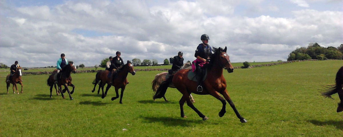 Horses galloping through a field out on a trek