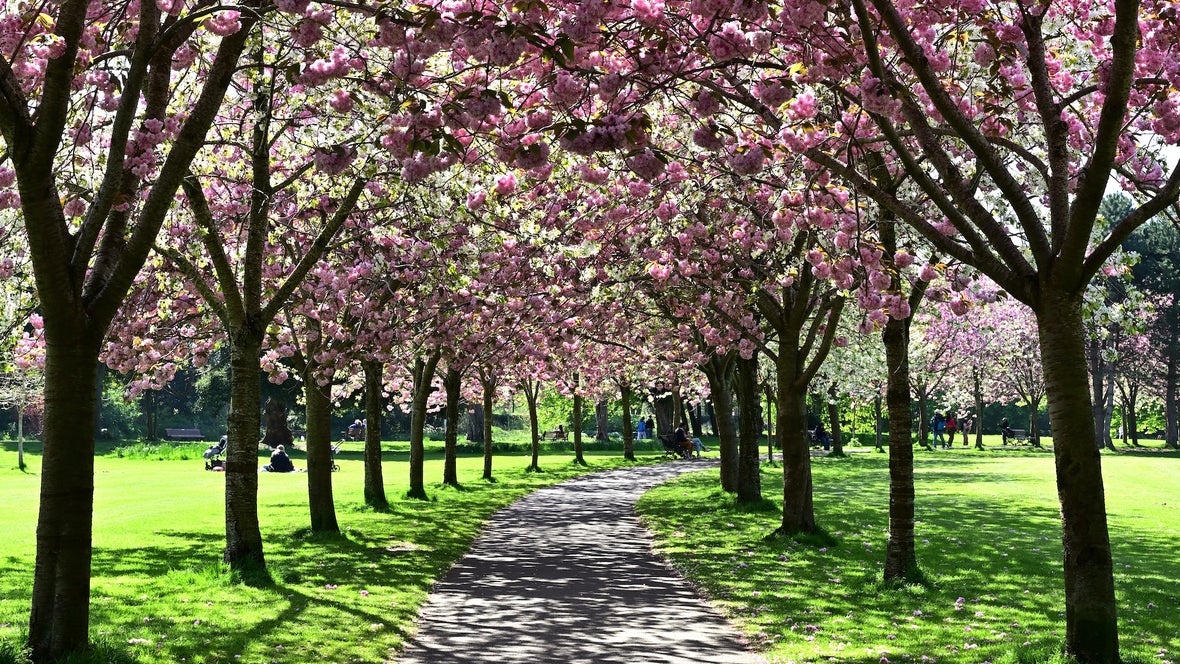 Deublin Spring How to Enjoy Spring in Dublin With Visit Dublin