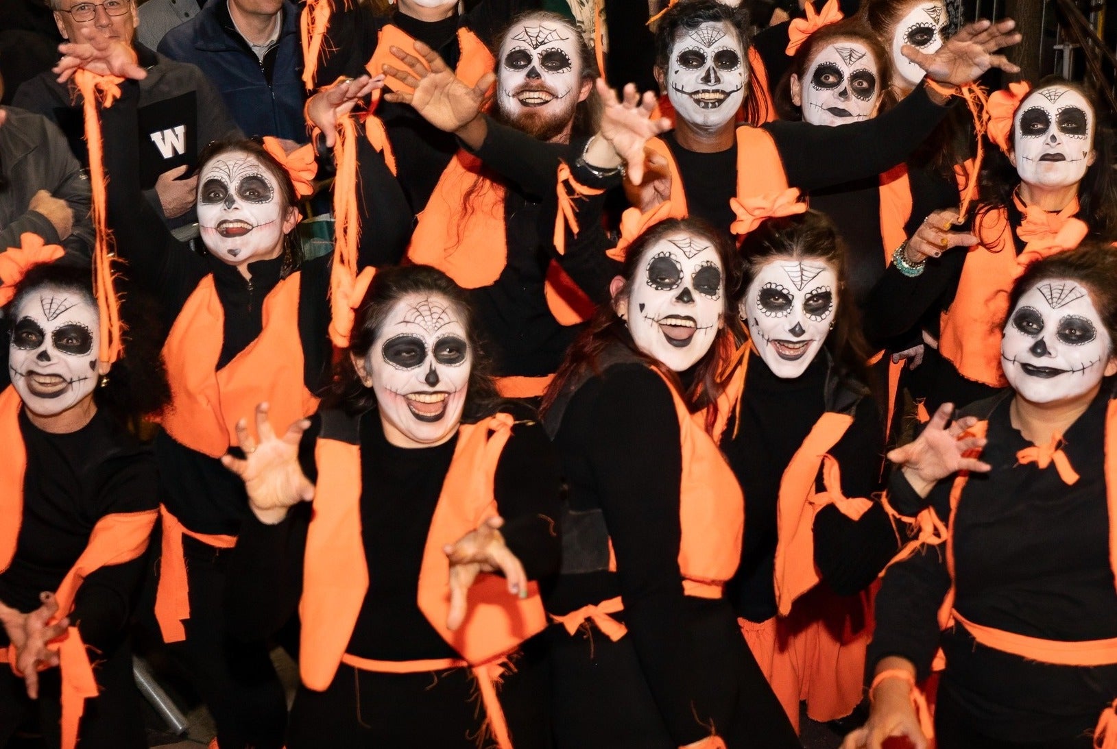 The Dragon of Shandon Parade Cork