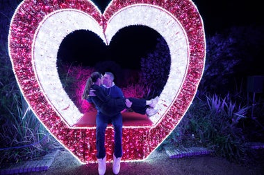 Wonderlights at Marlay Park