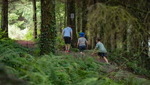 Visit Windgap Village Loop with Discover Ireland