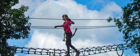 A young woman midway across a high rope walkway