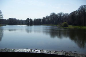 Stradbally Hall and Demesne