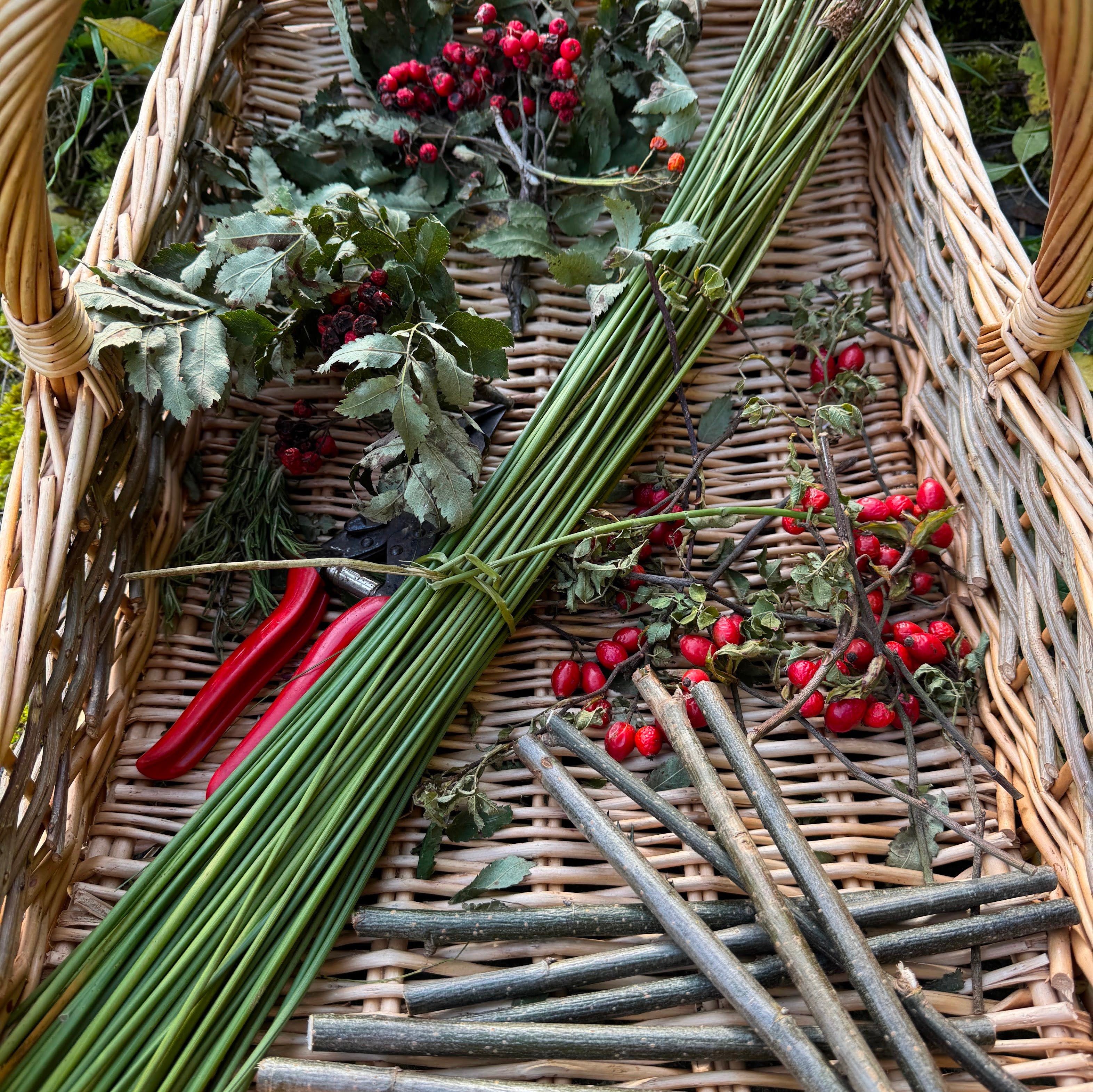 Herbs, Hexes and Halloween