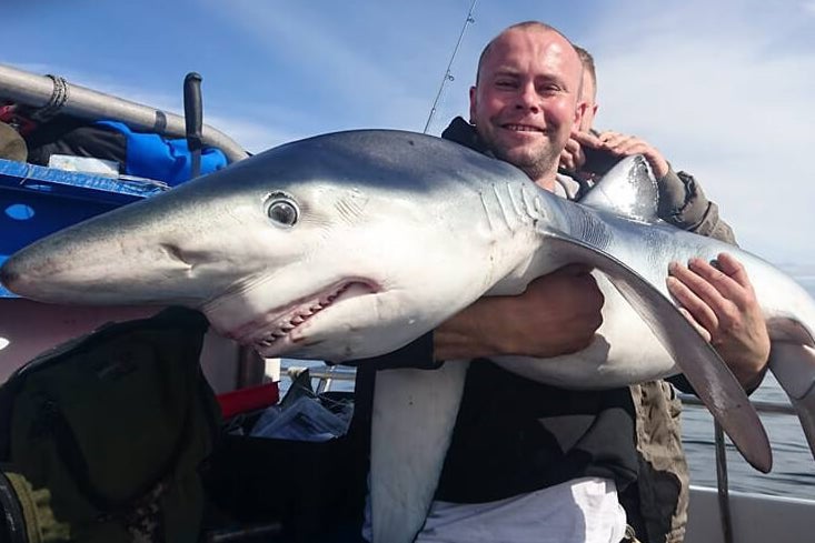 Man holding a blue shark