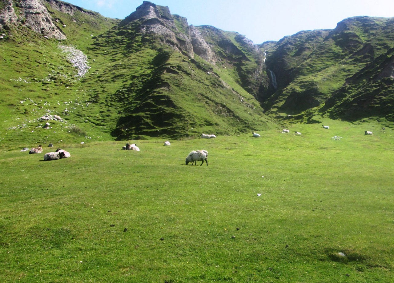 Green rocky hill with sheep grazing in the field in front
