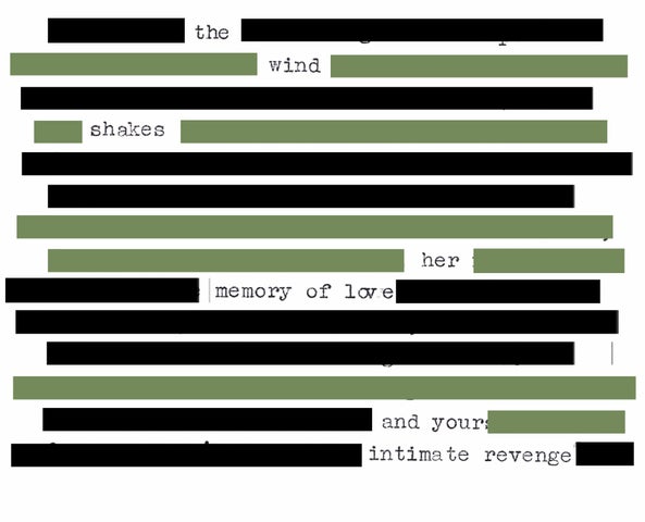 Blackout Poetry Workshops