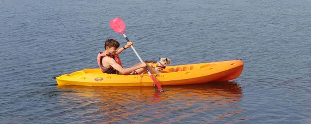Kayak with the Seals