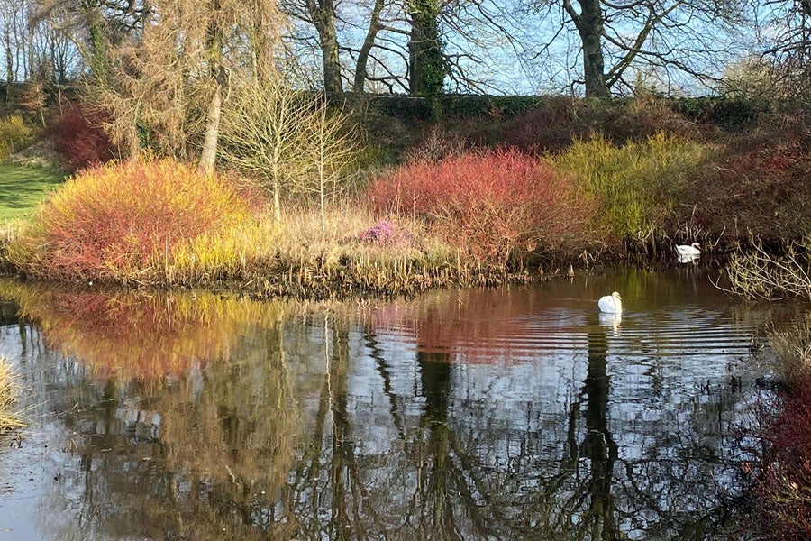 Visit Newbridge Golf Club with Discover Ireland
