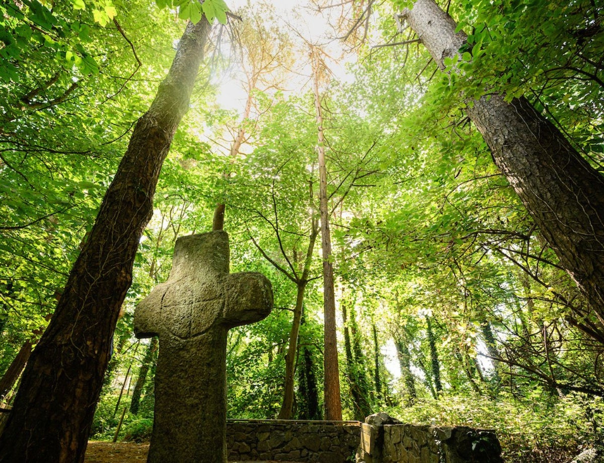 A view of monastic ruins in a forest