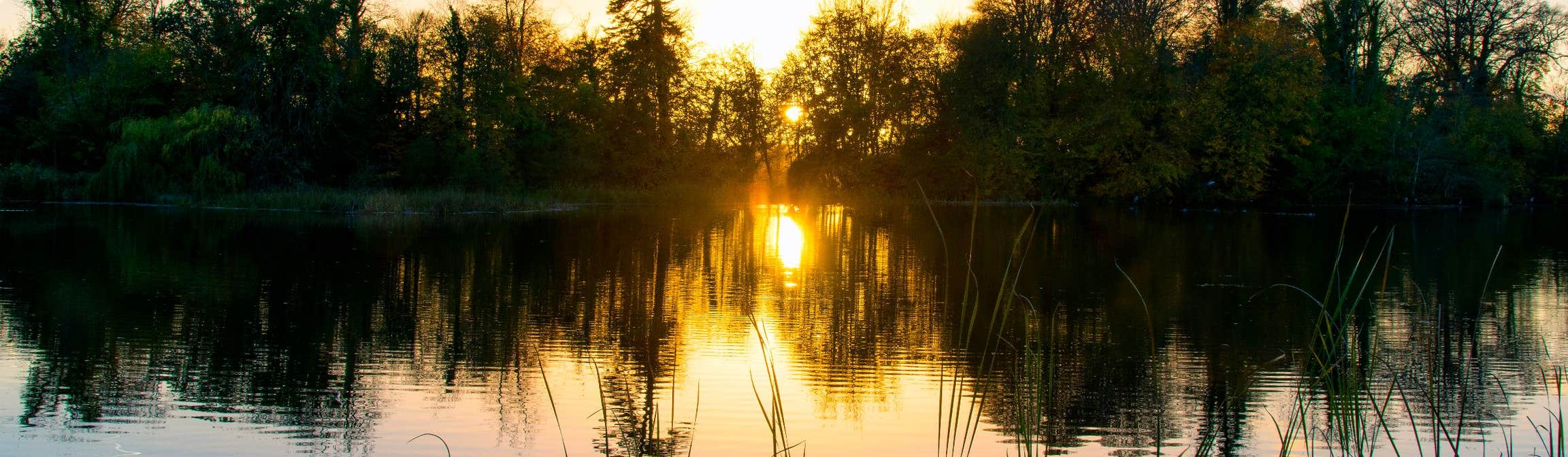 Offaly Explore the Rich History of County Offaly with Discover Ireland
