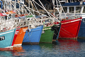 Boats at Greencastle Marina