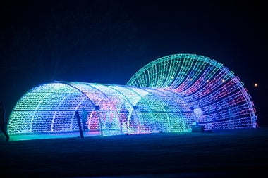 Wonderlights at Marlay Park