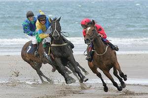Horse Racing Ireland