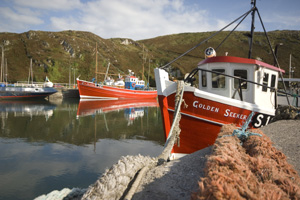 Cape Clear Island - Oileán Chléire