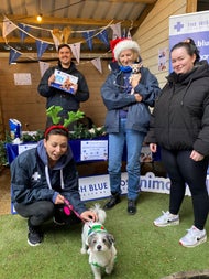 Blue Cross @Stillgarden Christmas Market