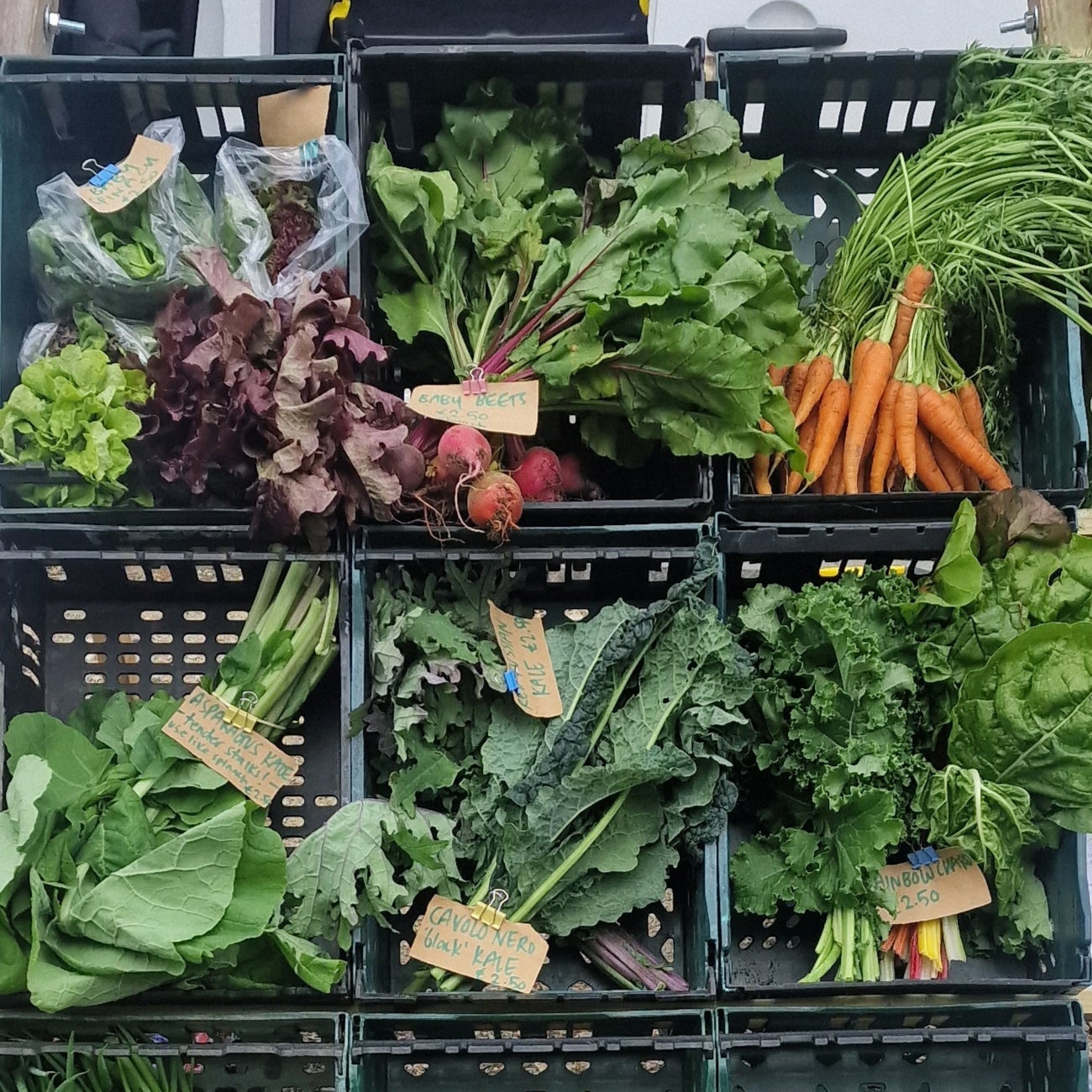 Green crates of fresh vegetables on display for sale