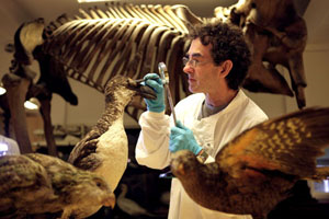 Zoological Museum