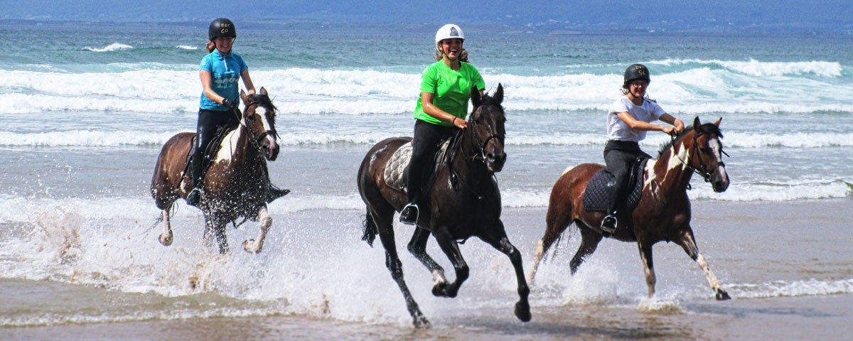 Visit Donegal Equestrian Centre With Discover Ireland