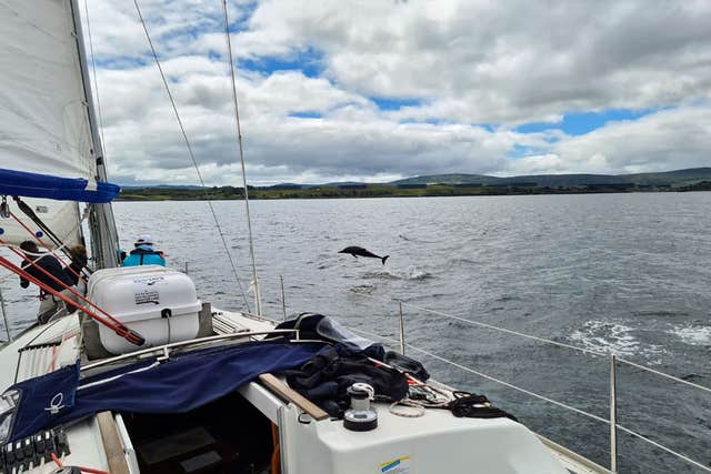 West Cork Sailing: Kayak with the Seals & Wild Atlantic Wildlife