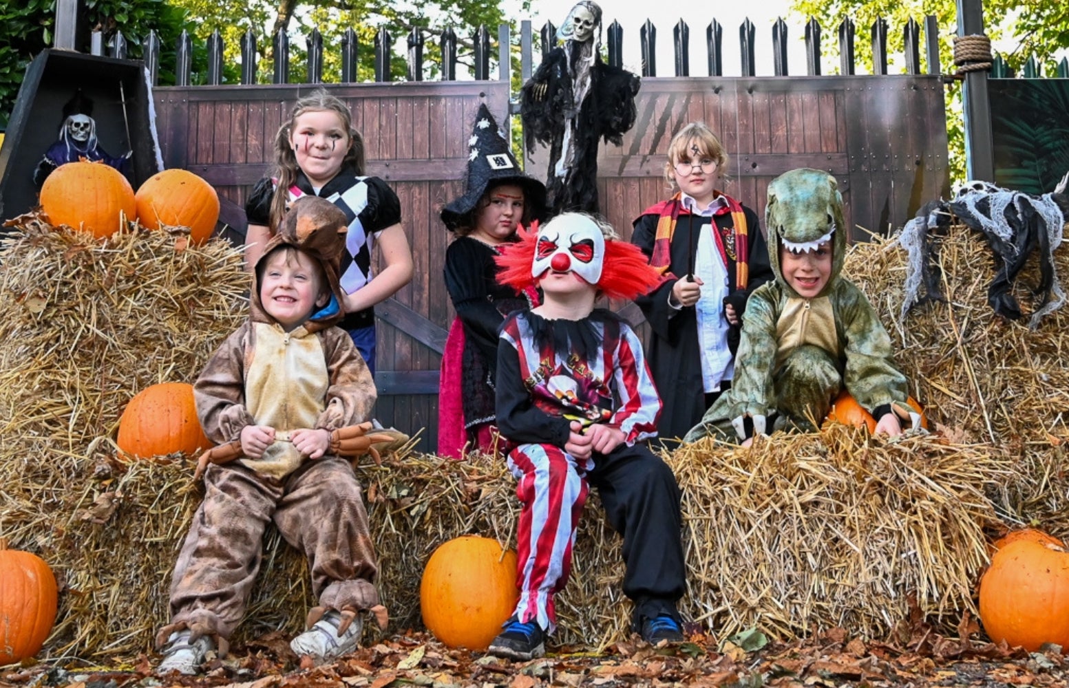 Join us for an exciting Halloween event at Jurassic Newpark, where you can immerse yourself in the magical world of Harry Potter, decorate chocolate apples, take part in a wicked walk scavenger hunt, and explore the scare room.