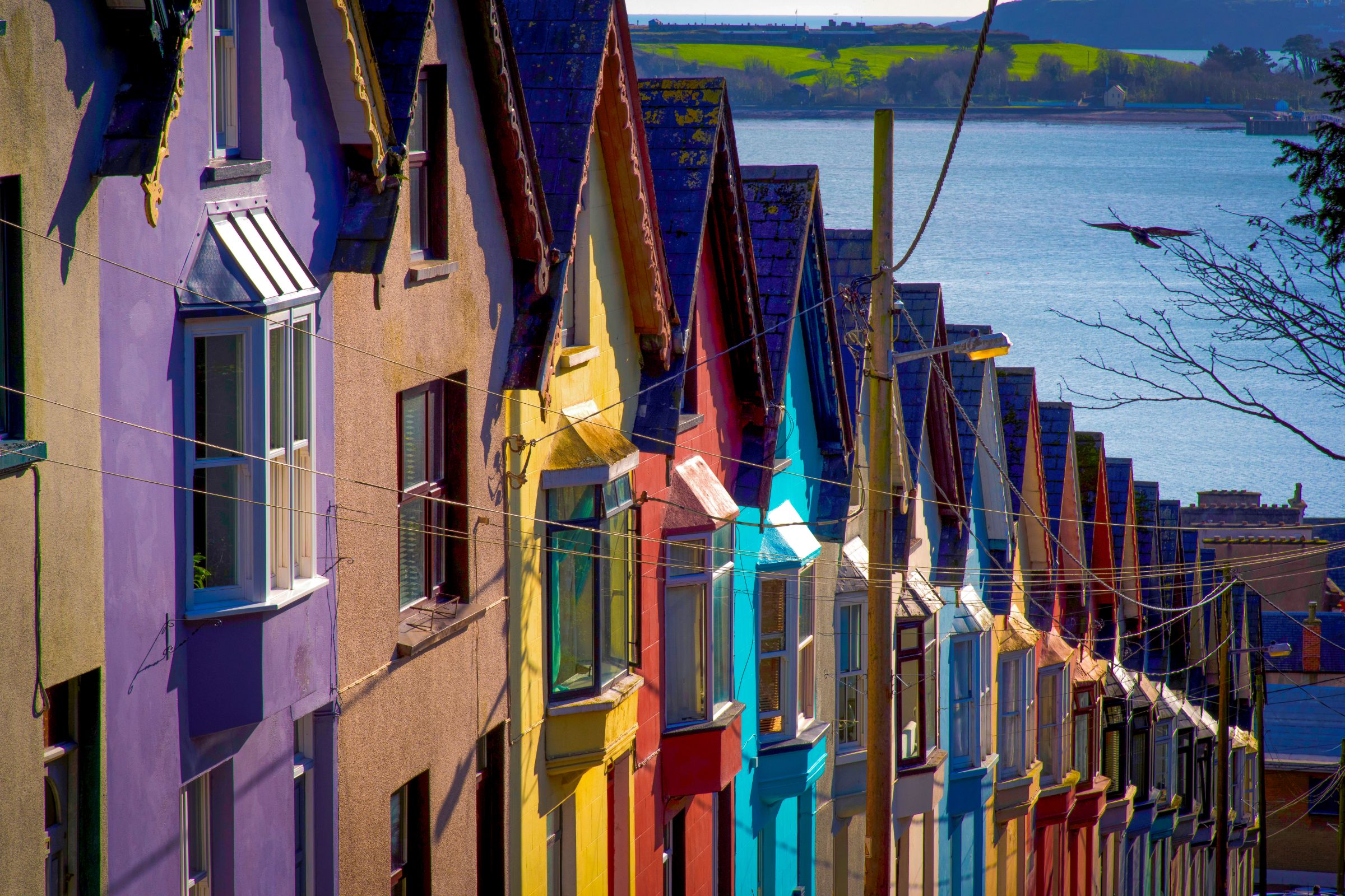 10 Things To Do in Cobh with Discover Ireland