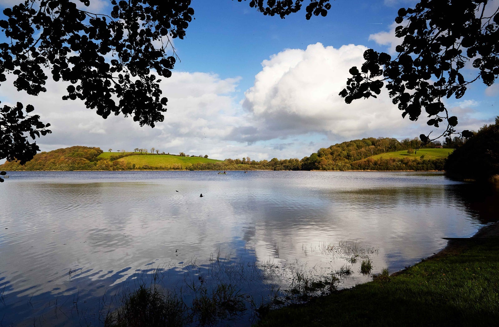 A view of a lake with some ripples and a cloud reflected on it