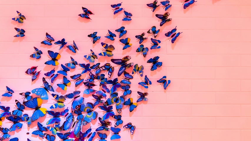 Image depicting a kaleidoscope of butterflies against a pink wall