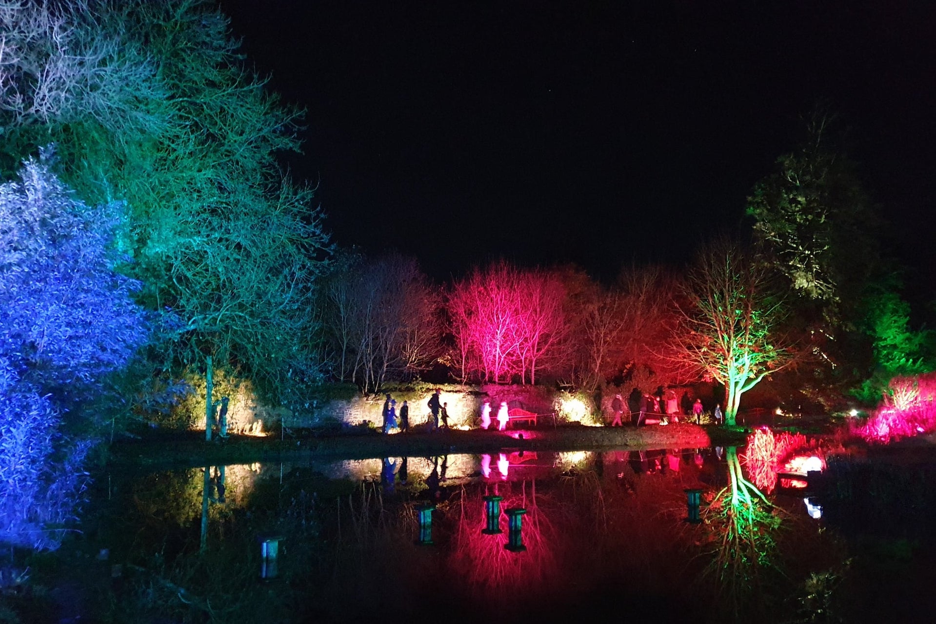 Loughcrew Lightshow December 2024. At night beside water, lit up trees are reflected in the water.