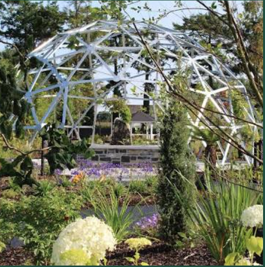 Abbey Blooms After Dark - The Enchanted Garden, Westmeath