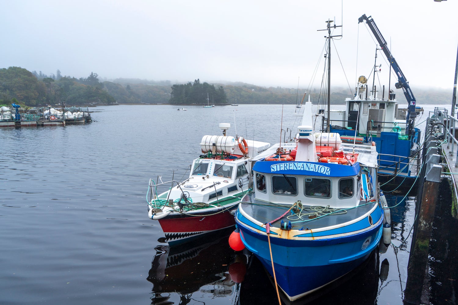 Boats docked at Glengarriff Harbour in County Cork.
