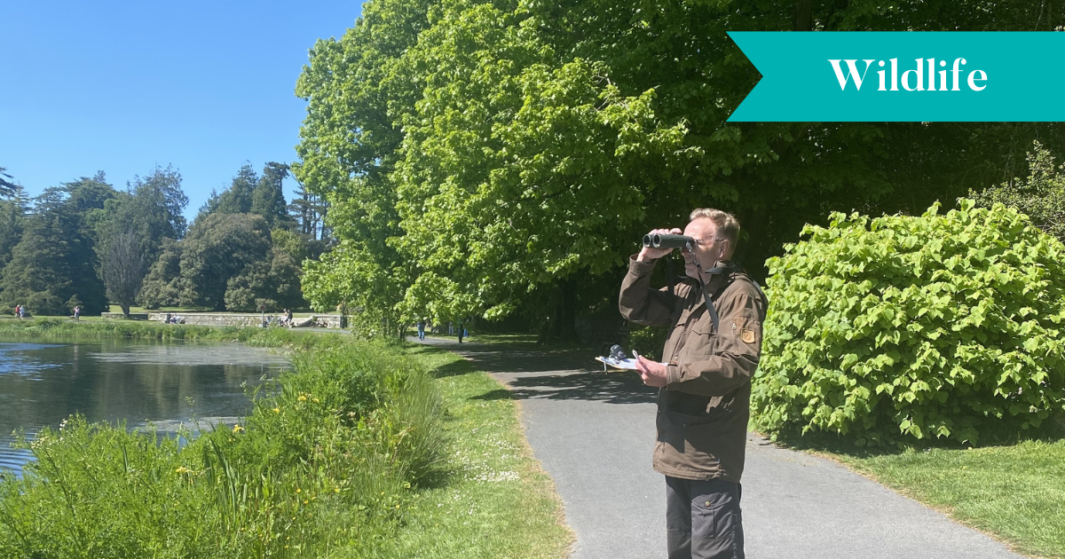 Harm Deenen, wildlife expert overlooking the castle lake on a nature survey walk around Johnstown Castle