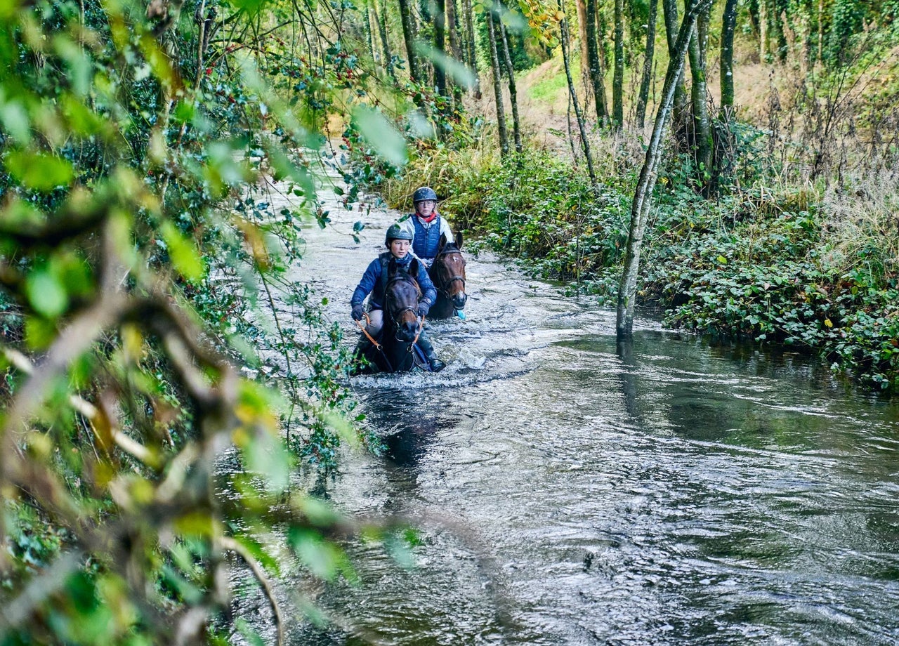 Two jockeys riding their horses down a river