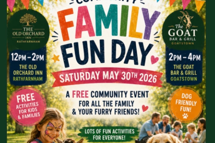 Poster with lots of text and young girl with butterfly face painting.