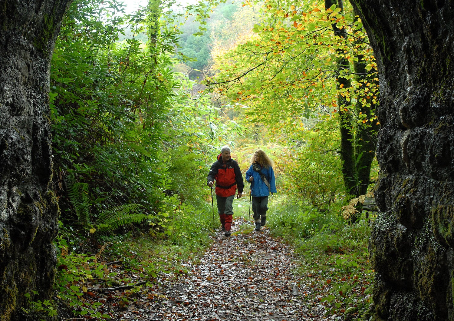 People walking on the Attychraan Loop Walk in Ballyhoura, Co Limerick