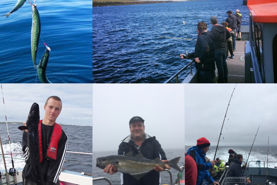 Bombarda does the business in Belmullet  Fishing in Ireland - Catch the  unexpected