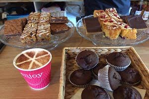 Ards Coffee Tree