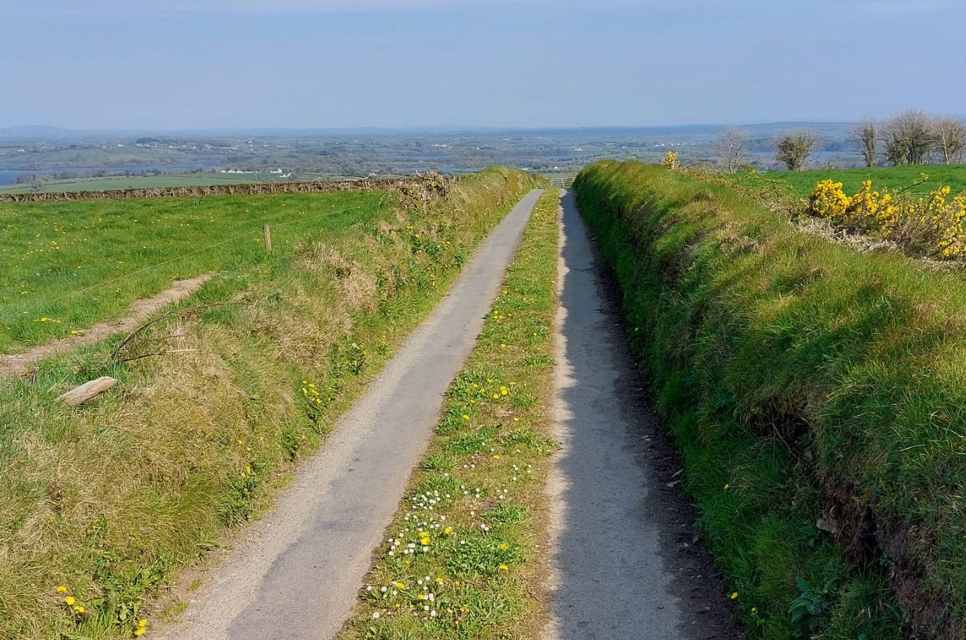 View From Top of Smear Hill