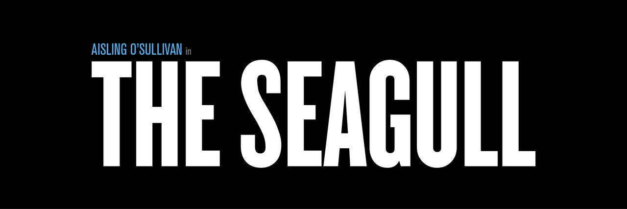 Black background with white text saying 'The Seagull'