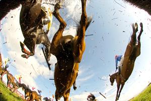 Goffs Bloodstock Sales