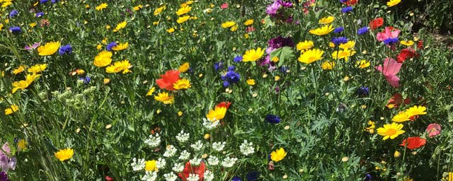 Aultaghreagh Cottage Garden