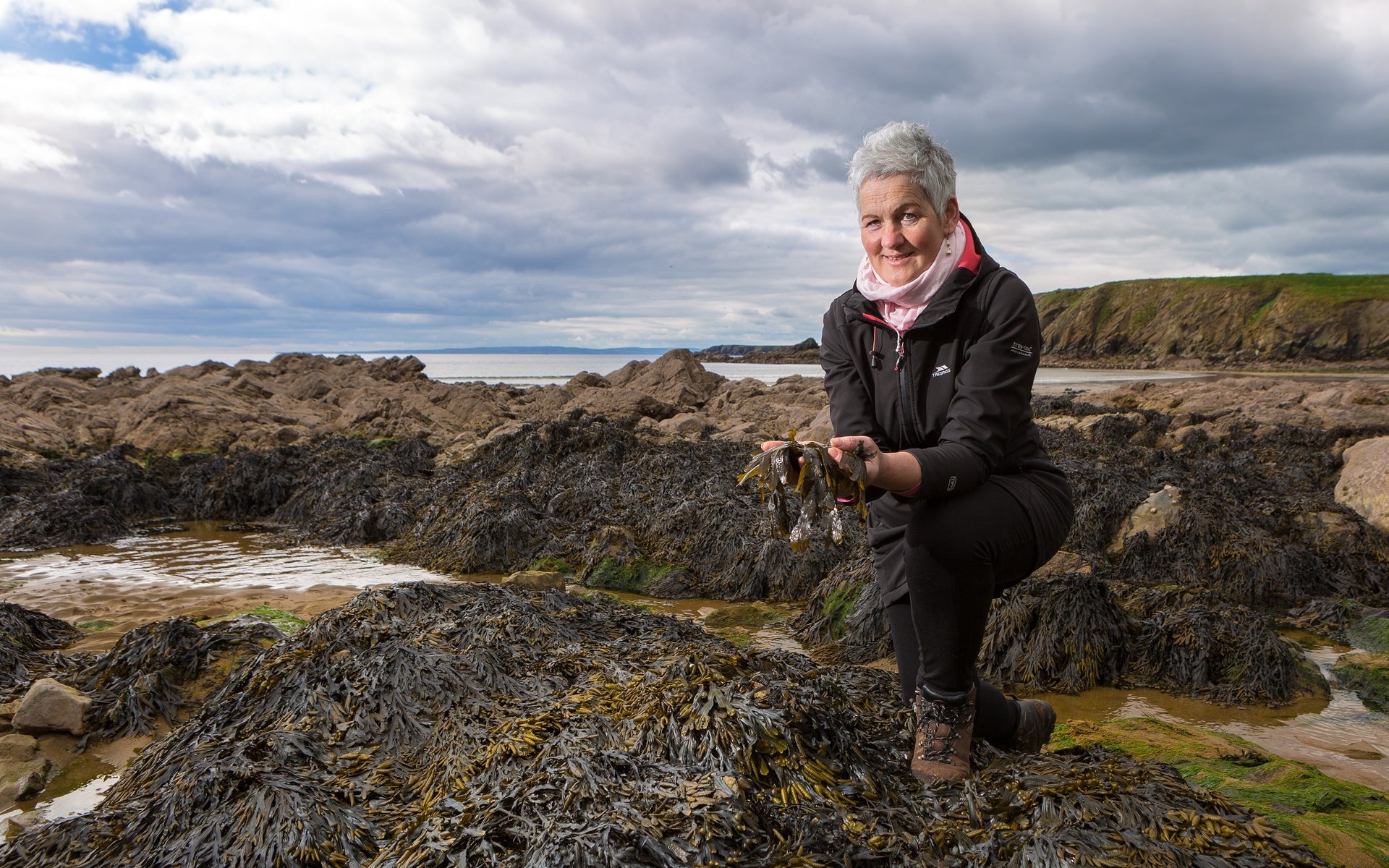 A lady forages amongst rocks on a beach for seaweed along the Copper Coast in Waterford