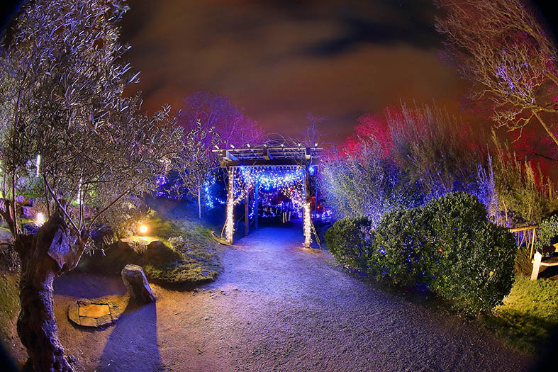 family-friendly-christmas-events-in-ireland-2022-discover-ireland