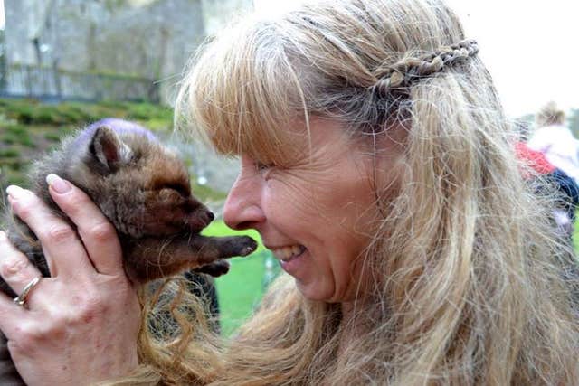 Animal Magic – Falconry and Conservation